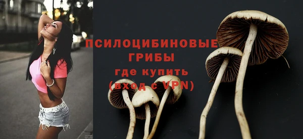 mdpv Бронницы