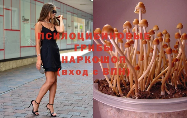 твердый Бугульма