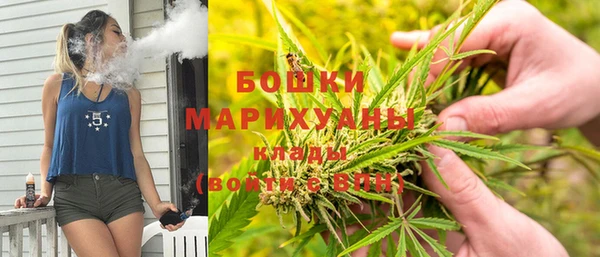 spice Богданович