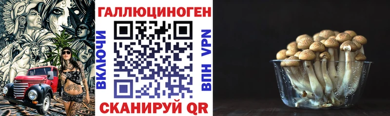 omg маркетплейс  купить наркоту  Завитинск  Галлюциногенные грибы мухоморы 